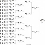 第3回日本プロゴルフマッチプレー選手権