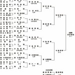 第6回日本プロゴルフマッチプレー選手権