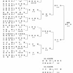 第8回日本プロゴルフマッチプレー選手権