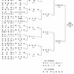 第9回日本プロゴルフマッチプレー選手権