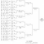 第16回日本プロゴルフマッチプレー選手権