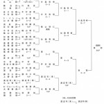 第17回日本プロゴルフマッチプレー選手権