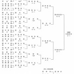 第18回日本プロゴルフマッチプレー選手権